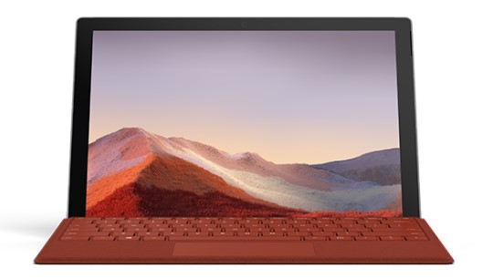 枫木镇清洁和维护 Surface